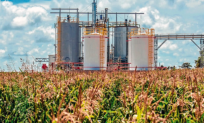 Las 27 plantas que elaboran biodiesel detienen su producción y piden corrección urgente de precios