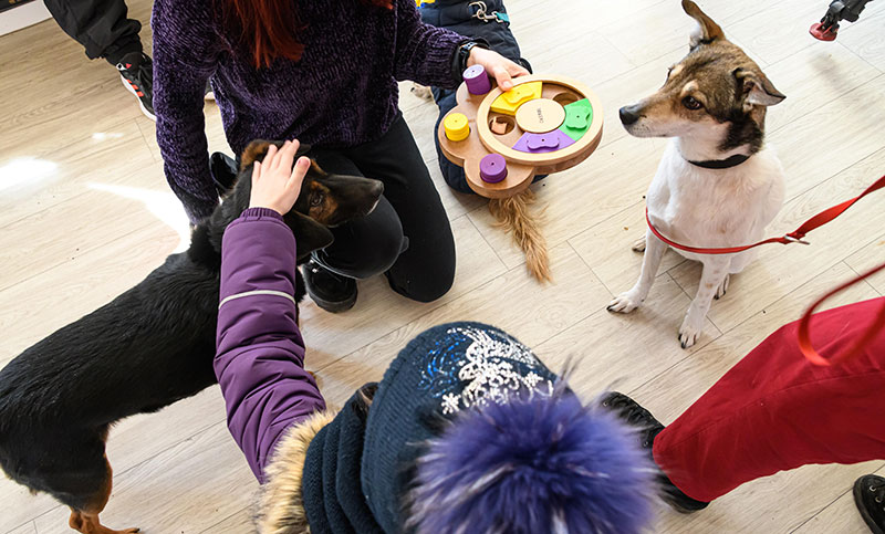 Terapia con animales: cómo los perros y otros animales contienen, calman y ayudan a ser más felices
