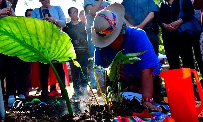 Día de la Pachamama: rituales y ofrendas en la ciudad