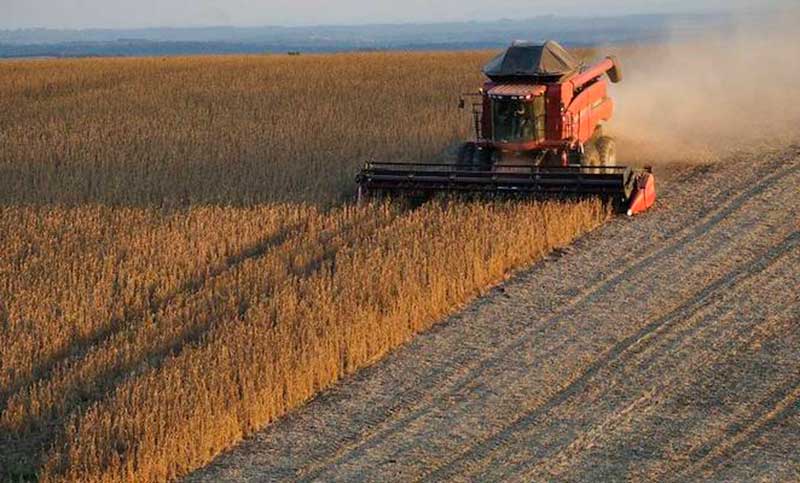 Proyectan que la producción de granos 2023/2024 crecerá 70,4% interanual