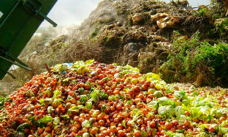 Conciencia sobre la Pérdida y el Desperdicio de Alimentos: se celebra el día internacional