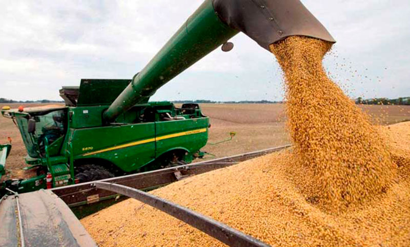 Agroexportadores liquidaron más de 1.746 millones de dólares en agosto