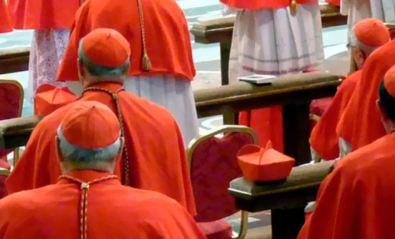 Cardenales conservadores enfrentan al Papa por temas del Sínodo que empieza el miércoles