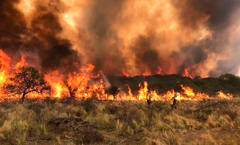 Continúan activos dos incendios forestales en San Luis