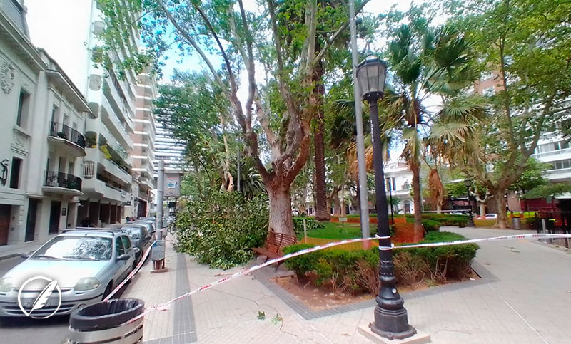 Continúan las tareas de limpieza en la ciudad tras la fuerte tormenta