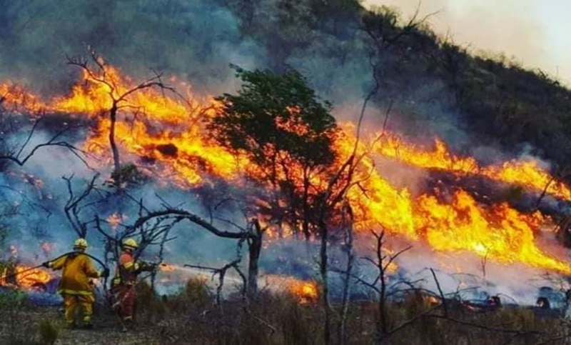 Salta, Catamarca, San Luis y Chubut registran incendios forestales