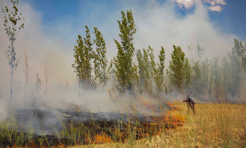 Ochenta y dos personas fueron evacuadas por los incendios en Luján de Cuyo