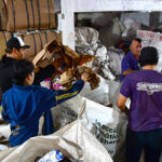 Recicladores de Rosario: los responsables de mantener la ciudad limpia y cuidar el medio ambiente