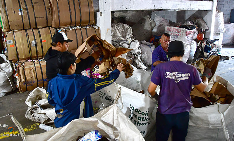 Recicladores de Rosario: los responsables de mantener la ciudad limpia y cuidar el medio ambiente