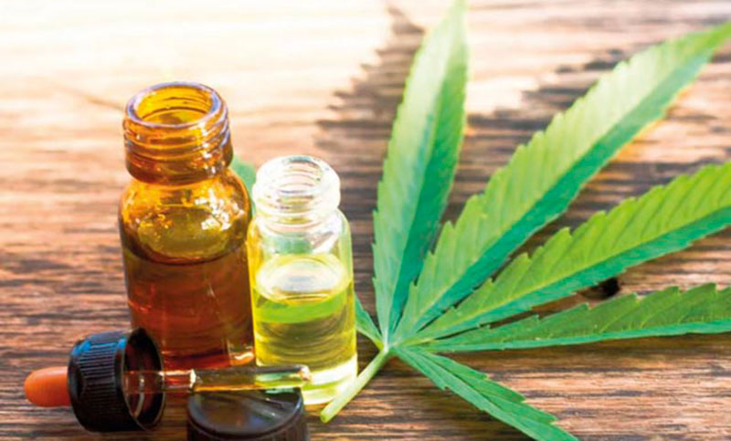 La ANMAT autorizó la distribución y comercialización del primer aceite de cannabis medicinal
