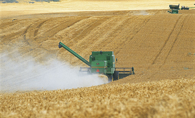 Las exportaciones agroindustriales cayeron 43,8 por ciento interanual en octubre