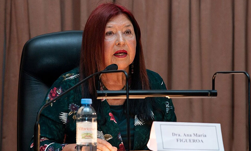 La camarista Figueroa reclamó al Consejo de la Magistratura su reincorporación como jueza