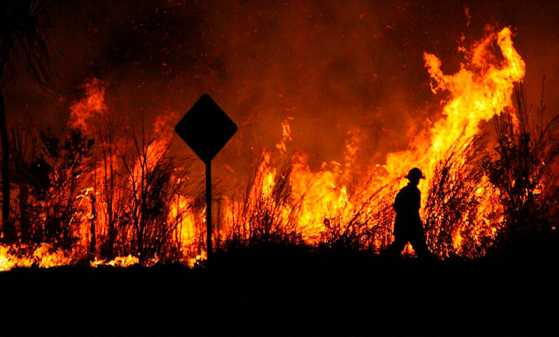Tras los desastres forestales en el país, ambientalistas aconsejan cómo evitar incendios