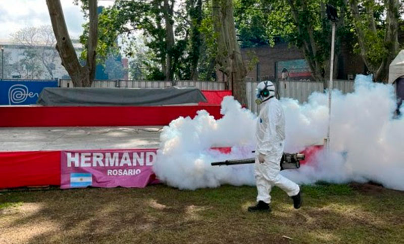 Luego de las lluvias llegaron los mosquitos e intensifican las fumigaciones