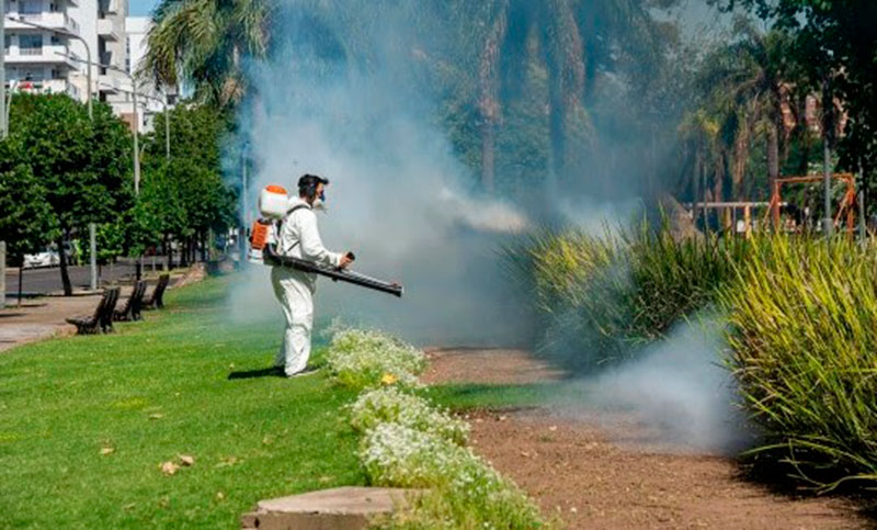 Continúan las fumigaciones en parques y plazas