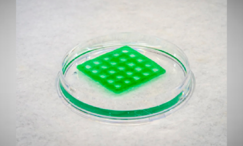 Avance científico: impresión 3D de «material vivo» para purificar agua de manera sostenible