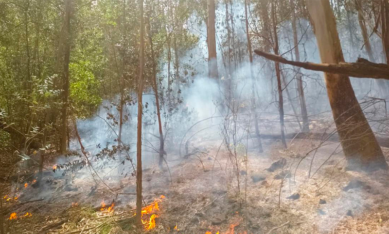Advierten sobre el peligro de incendios por altas temperaturas y vientos en la Comarca Andina