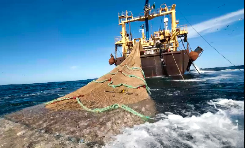 Los Marítimos están a las puertas de medidas de fuerza por la paritaria con la Cámara de Arena y Piedra