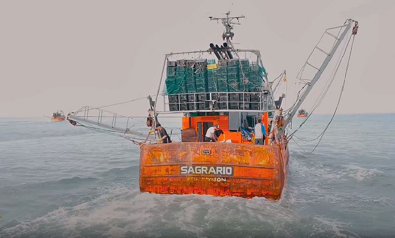 Marítimos piden audiencia con la canciller y legisladores por la modificación a la Ley de pesca marítima