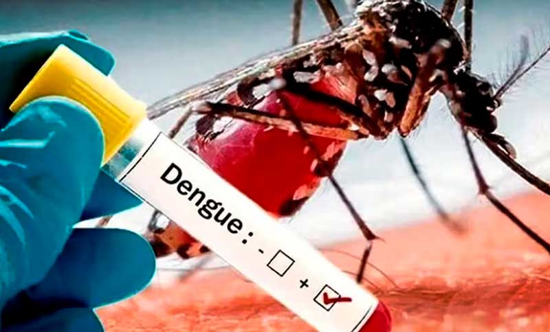 Se confirmaron 428 nuevos casos de dengue en la provincia de Santa Fe