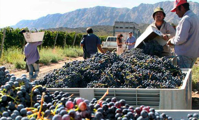 Sector vitivinícola argentino alerta sobre impacto de retenciones y busca modificaciones en ley ómnibus