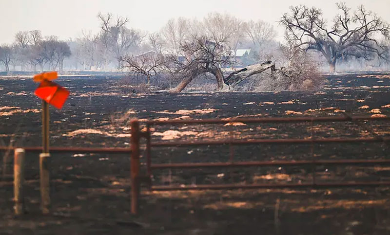 Un muerto en uno de los mayores incendios forestales de la historia en Texas