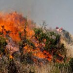 Continúan los sobrevuelos en el incendio en Los Alerces y esperan más vientos
