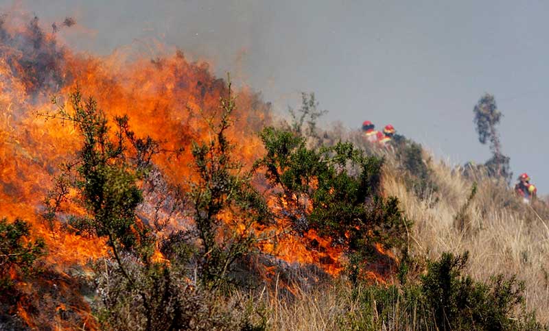 Continúan los sobrevuelos en el incendio en Los Alerces y esperan más vientos