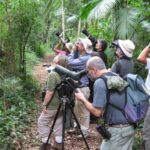 Cada vez más extranjeros eligen Argentina para la observación de aves, y dejan miles de dólares en el país