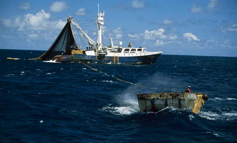 El modelo de enajenar los bienes del Estado volverá sobre la reforma pesquera