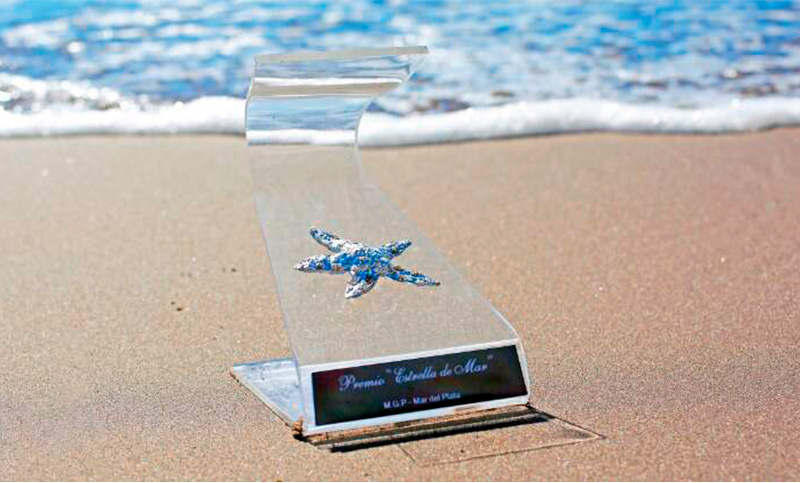 Premios Estrella de Mar 2024: se conocieron los nominados