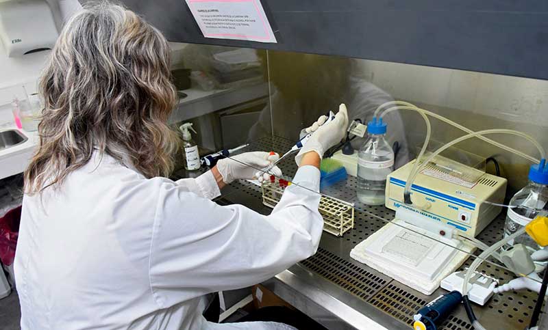 La Encefalitis Equina del Oeste se podrá detectar en laboratorios de la Provincia