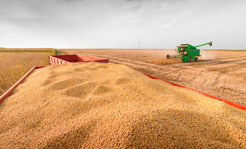 La agroindustria generó el 55% de las exportaciones argentinas en 2023