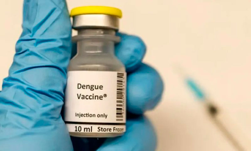 El Gobierno descartó la implementación de una campaña de vacunación contra el dengue