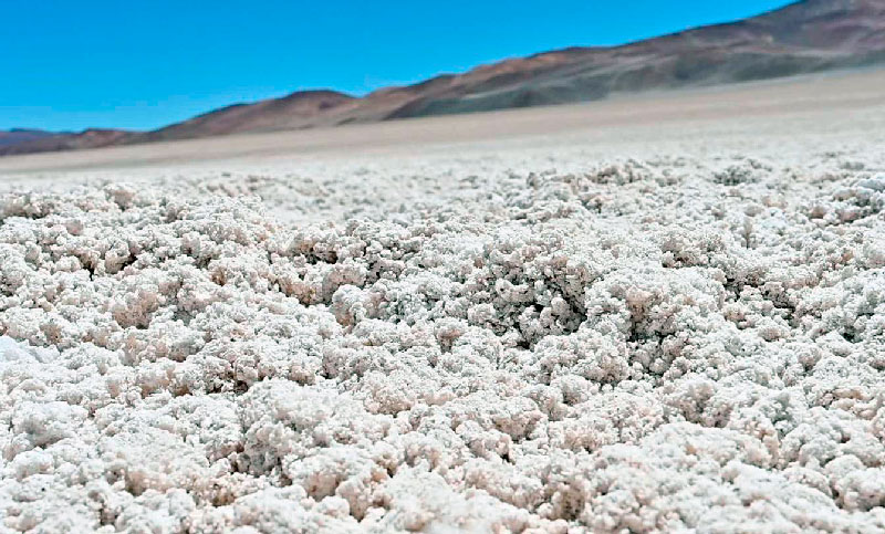 El Estado chileno tendrá participación mayoritaria en la exploración y explotación de litio