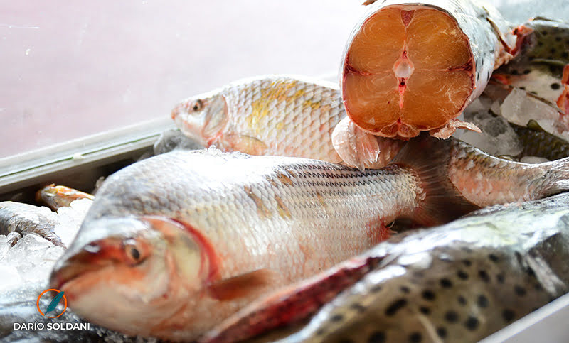 ¿Cuánto cuesta comer pescado fresco en Semana Santa?