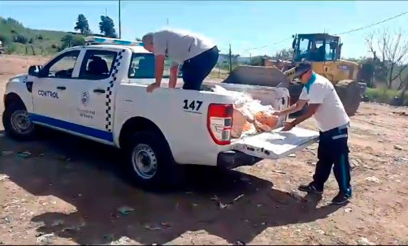 Decomisan casi 300 kilos de carne en mal estado en cinco carnicerías