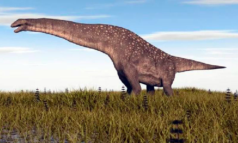 Encuentran en Chubut restos de un titanosaurio que vivió hace 66 millones de años