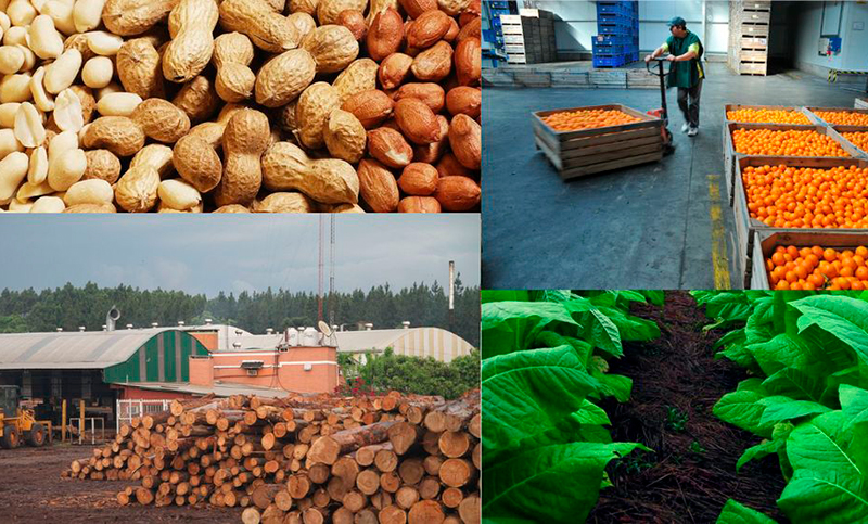 Inflación devastadora: más de la mitad de las economías regionales están en crisis
