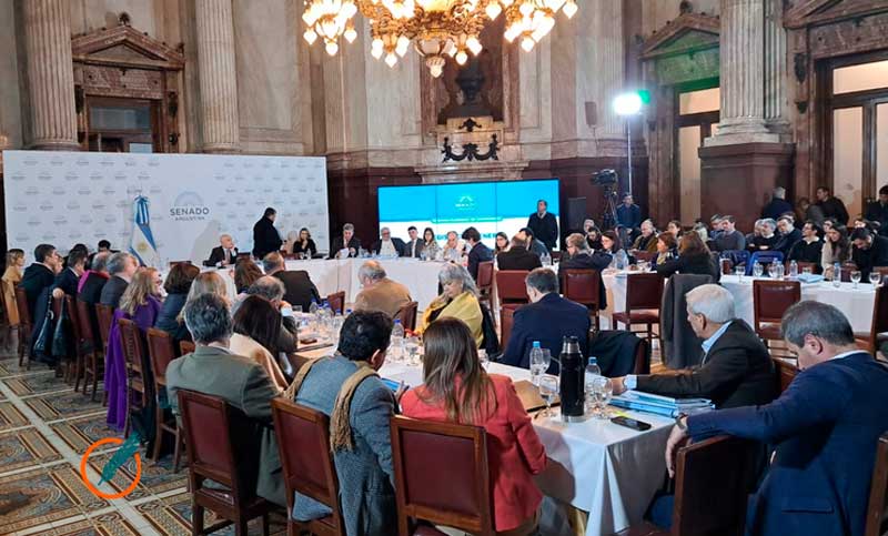 Ley Bases: el gobierno avanza en el Senado y habría dictamen