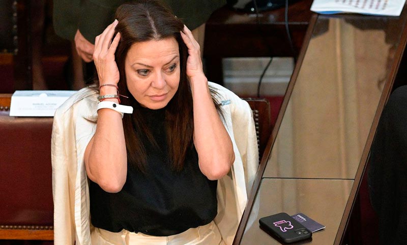 Otra denuncia contra Pettovello por transferencias a la OEI para la compra tercerizada de alimentos
