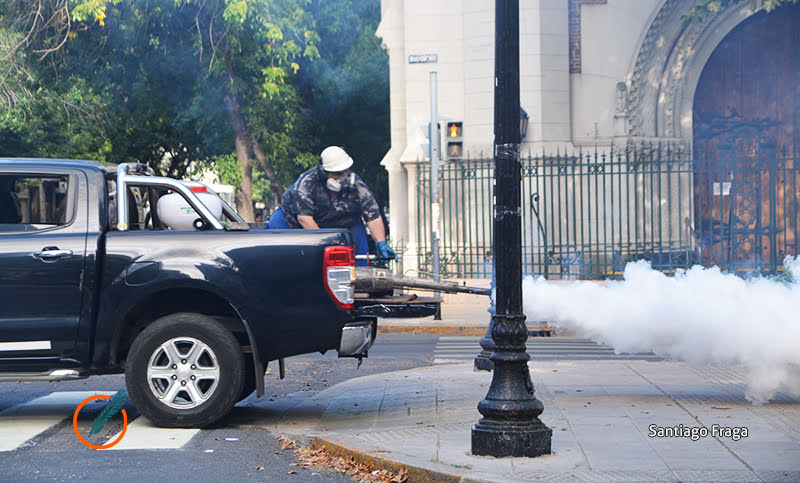 Se viene el calor y también los mosquitos: ¿en qué lugar están fumigando?