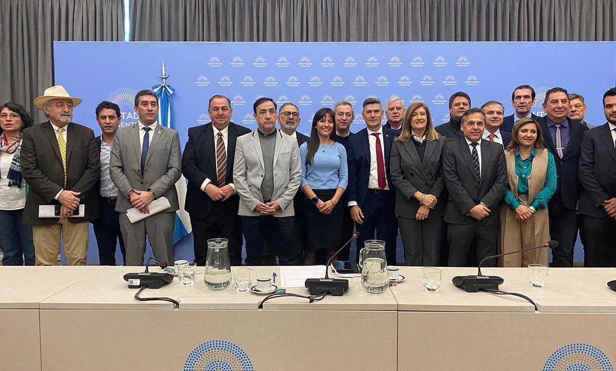 Intendentes de todo el país reclamaron en el Congreso por subsidios para el transporte