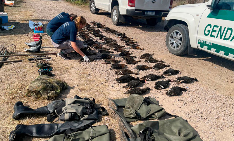 Cazadores ilegales extranjeros fueron demorados en el norte de la provincia de Santa Fe