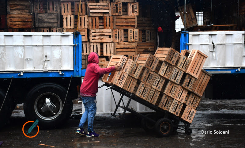 La inflación de los trabajadores desaceleró a 4,7% en mayo