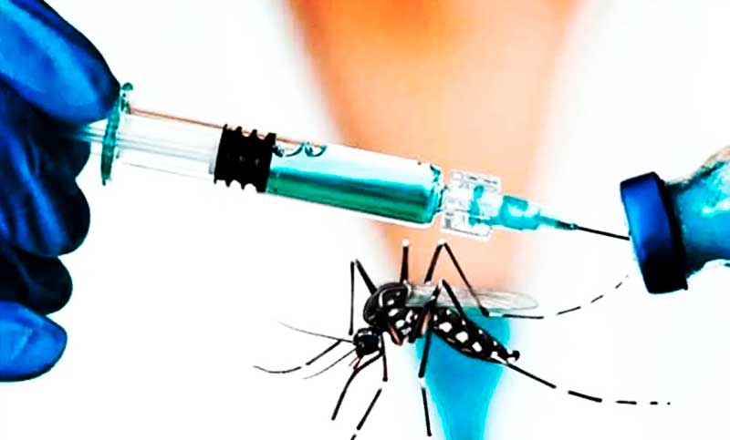Santa Fe vacunará contra el dengue: aseguran que la medida “disminuirá la mortalidad y las internaciones”