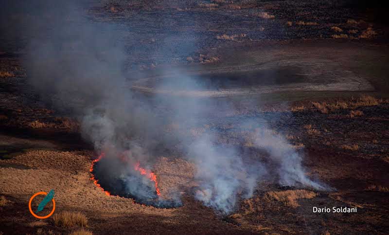 Ante una nueva fase de «La Niña», Santa Fe se prepara la prevención de incendios forestales