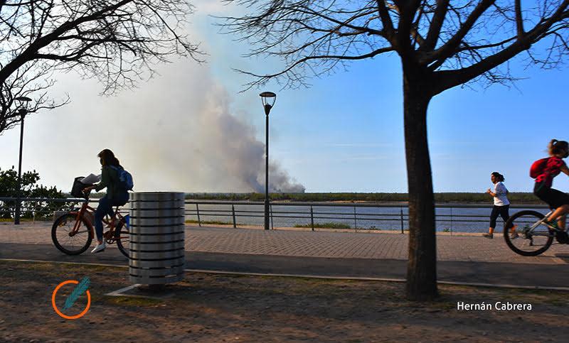 Tras el regreso de los incendios en las islas, exigen que el gobierno proteja los humedales y la salud de los vecinos
