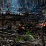 Lula sugirió que los incendios son orquestados por algunos sectores que “intentan crear confusión en el país”