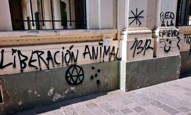 Denuncian pintadas ofensivas en la catedral Santísimo Salvador de Jujuy tras la marcha de mujeres